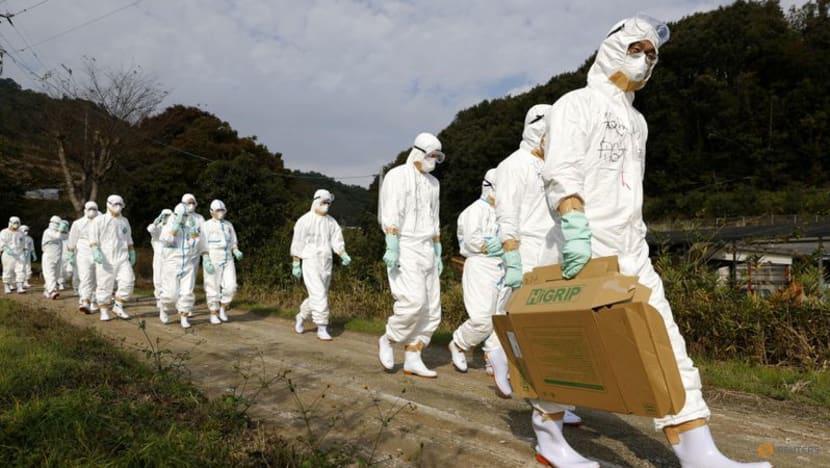 Photo taken by Kyodo on Nov 8, 2020. (Photo: Kyodo via REUTERS)